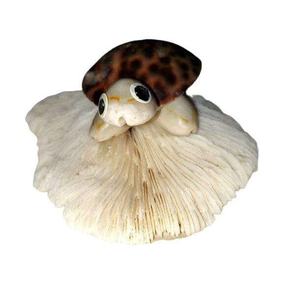 Other - Vtg Seashell Turtle White Mushroom Coral Souviner Travel Beach Desination Kitch